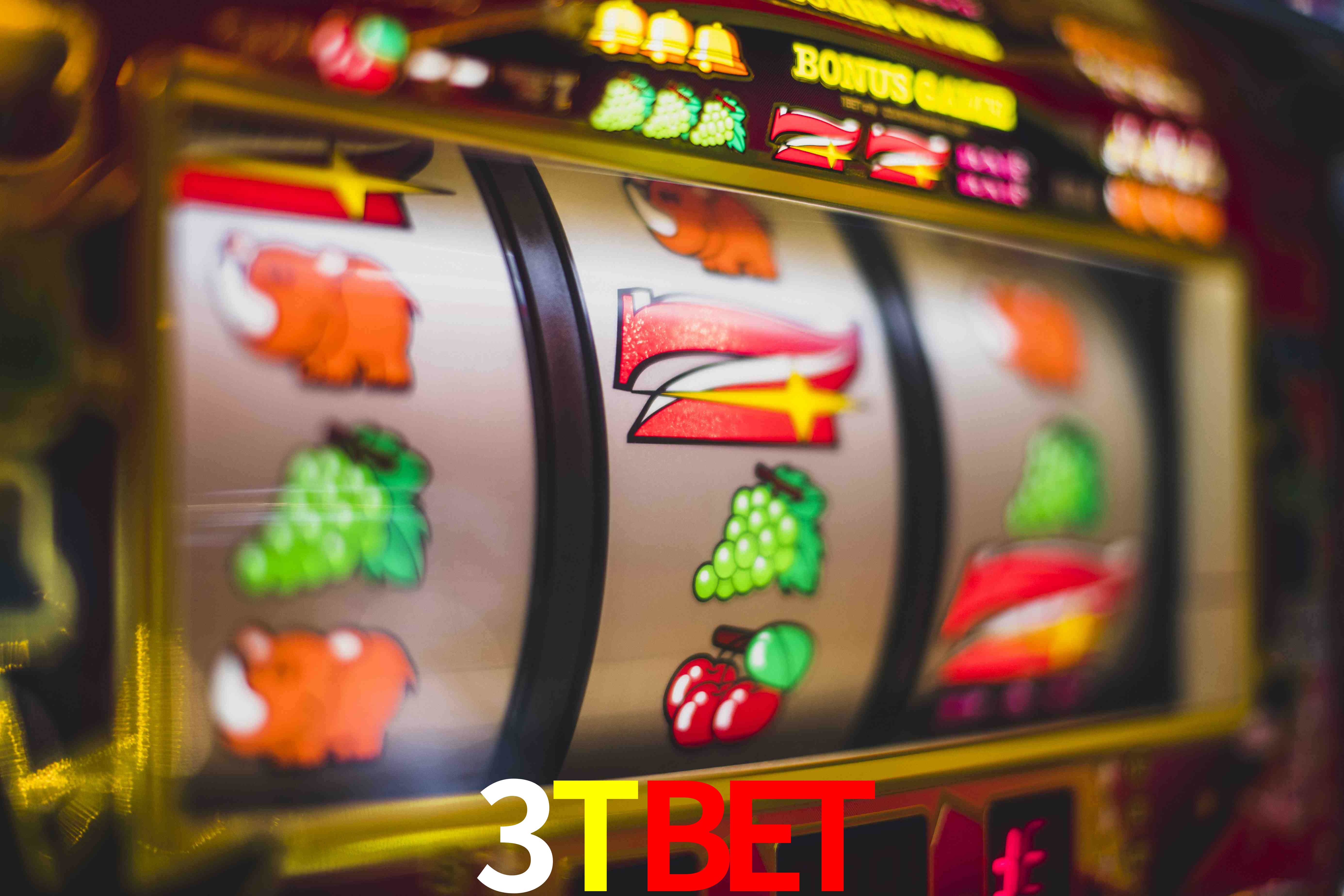 Experiência VIP 3TBET