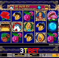 3TBET Rio de Janeiro - Professional Dealers